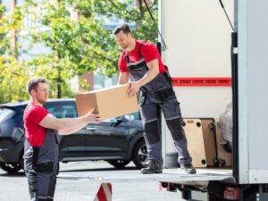 How Piano Transporters Can Teach Athletes About Efficiency and Teamwork