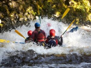 Careers in Sports Management: Unlocking Opportunities in a Dynamic Field